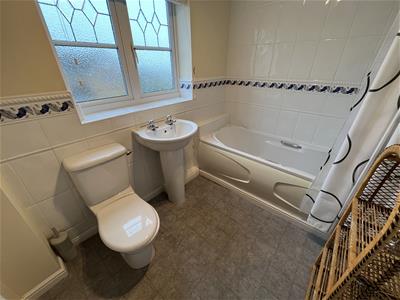 Picture 15